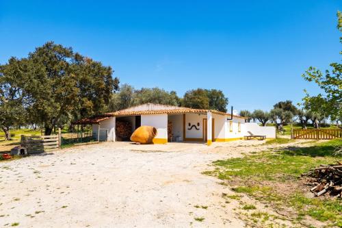 Kochab Alentejo in Alpalhao