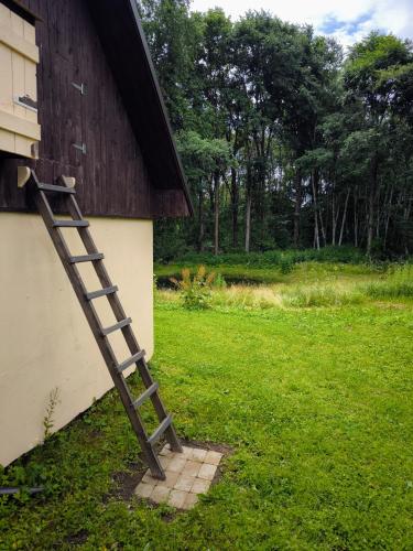 Sauna Suite 2 in Tolliste