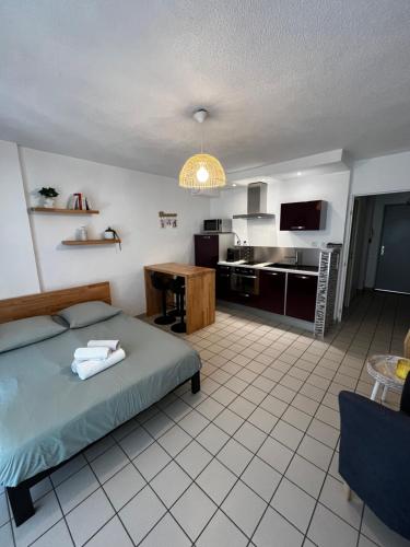 Studio lumineux avec grande terrasse