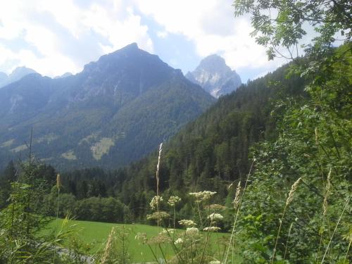 Waldhaus in Hinterstoder, Österreich