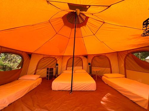 beach canopy tent Tangkula 6x6 Ft Cabana, Portable Beach with Detachable Sidewall protection features Gleason Presents Next-Level Gear 1991 Plymouth Laser RS Turbo Color:Yellow/Copper/Blue