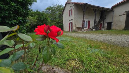 Ferme Périgourdine entre forêt et lac (Ferme Perigourdine entre foret et lac) in Festalemps