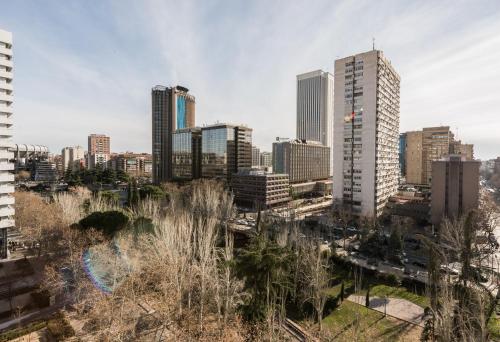 General Peron Picasso - image 9