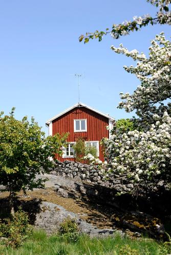 Tjärö Hotell & Vandrarhem - Accommodation - Trensum