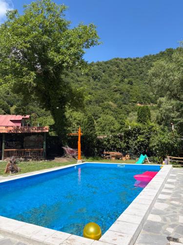 Vahagnadzor Aygi in Pambak (Lori)