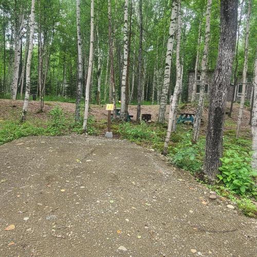 Houston Grass Station Campsite #11