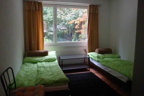 Apartments in Leafy Suburb - image 8