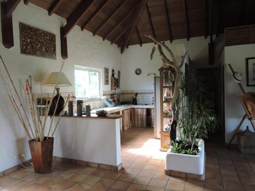 villa Colibri