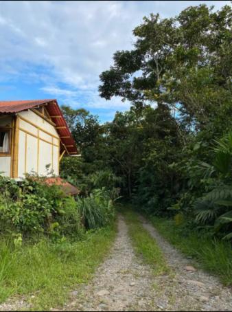 Finca Regenerativa Kupuazu
