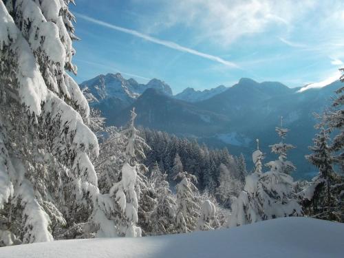 Müllerkaser, Lofer (Foto 7)