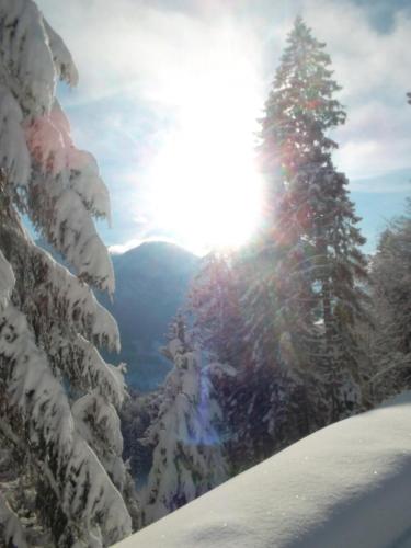Müllerkaser in Lofer, Österreich