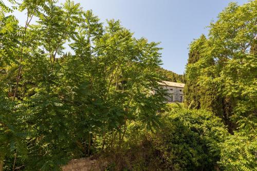 杜布罗夫尼克卢基公寓