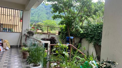 Beautiful Bungalow at Tokha - image 5