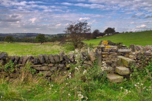 Wortley Cottage Guest House - image 3
