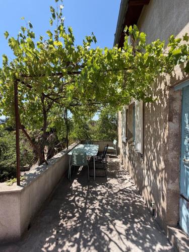 Maison de vigne Aforeva