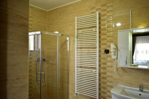 Vannas istaba, Pensiunea Casa Nușa (Pensiunea Casa Nusa) in Baia De Fier