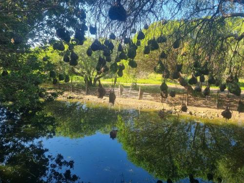 Accessible West Coast Villa Room with Private Facilities in Long Acres Country Estate