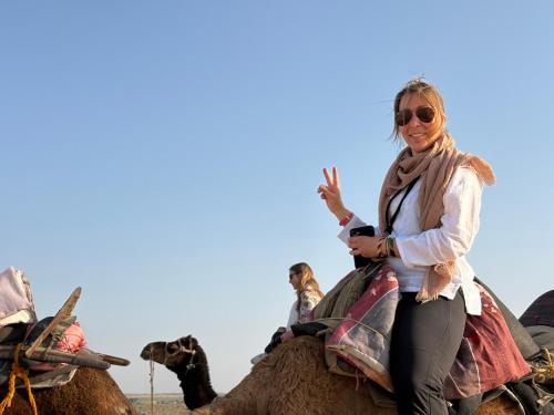 Jaisalmer Hostel Camel Castle & Safari - Jaisalmer