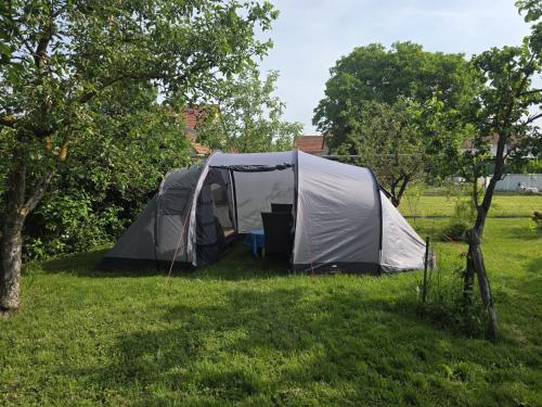 campingtisch stabilic Dukdalf I Garten Fahrradkoffer für Gepäckträger | xotic Colour:Wasabi