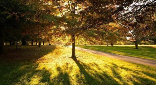 Ilam Motel – Christchurch, CO