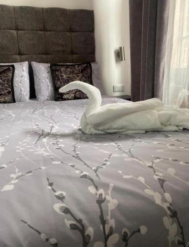 Comfortable Accommodation in Nottingham - image 5