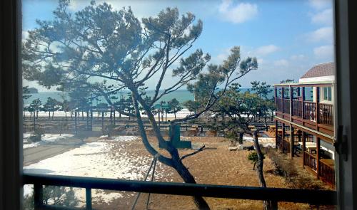 Facilities, Hotel Mallipo in Taean-gun