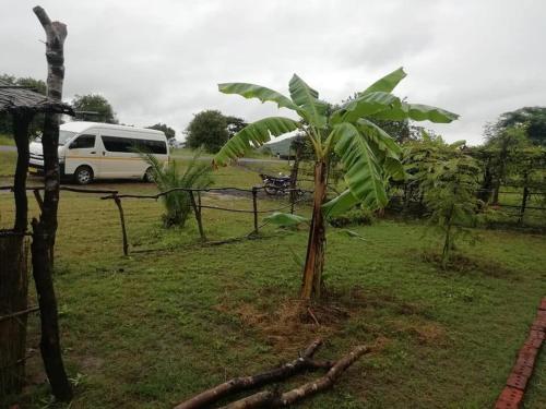 Mabuu Drive Inn in Salima