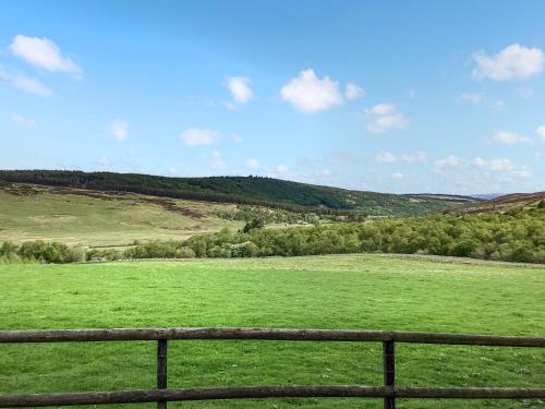 View, The Bothy in Edderton