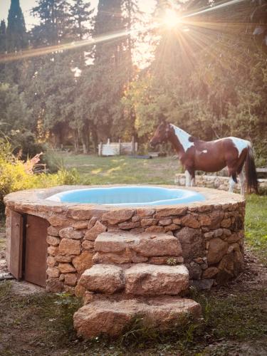 Viesnīcas āriene, Mazet en pierre chevaux in Puyvert