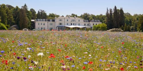 ทัศนียภาพภายนอกโรงแรม, โคเวิร์ธ พาร์ค - ดอร์เชสเตอร์ คอลเลคชั่น (Coworth Park - Dorchester Collection) in แอสคอท