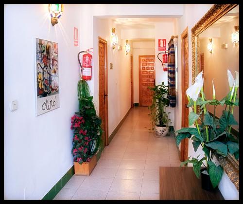 المرافق, Hostal Estacion in El Diezmo