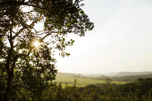 View, Macadamia Farm Stay in Quenera North