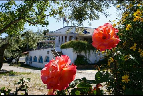 Hostal Ondina - image 10