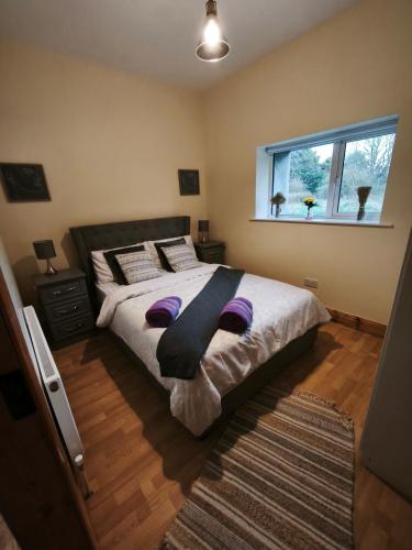 mitchelstown castle chalet in 密契爾鎮