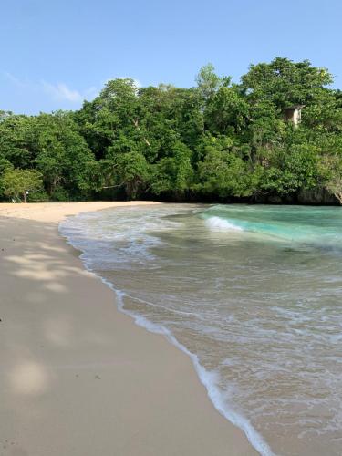 Ackee Tree Rustic Cottage in Drapers