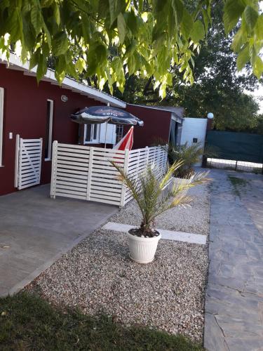 Departamento con vista al jardín