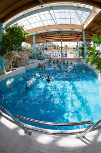 Swimming pool, IFA Schoneck Hotel & Ferienpark in Schoneck