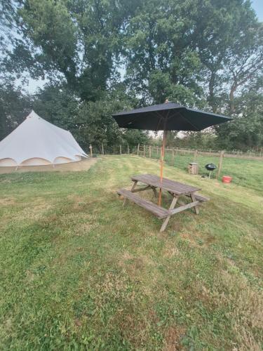 Iekārtas, Hendre Glamping Retreat, The Wren's Nest in Bwlch-y-groes
