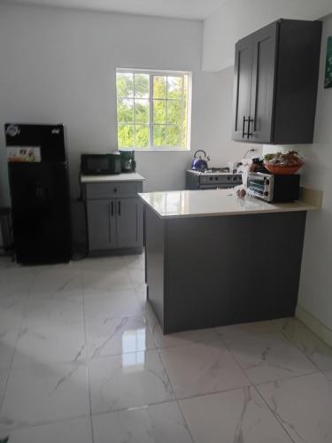 virtuve, Cozy Room with fast Internet & Netflix in Port Maria