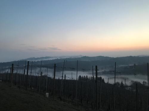 Locanda Rabaya' – Barbaresco, Piedmont, NY