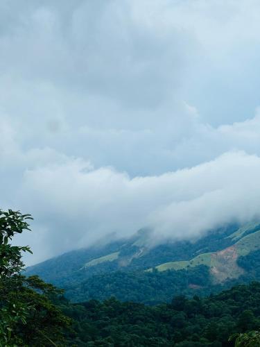 Coorg green valley Homestay and waterfalls - Bhagamandala Coorg green valley Homestay and waterfalls - Bhagamandala