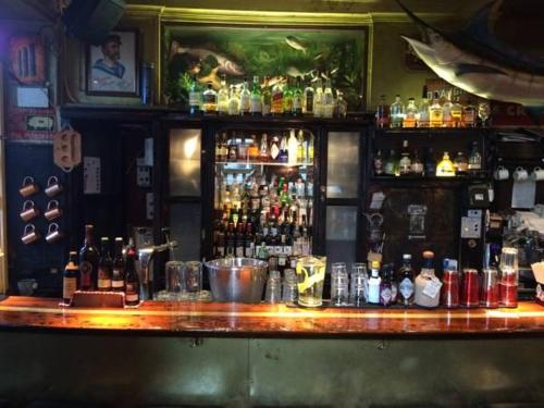Hemingway's Heidelberg