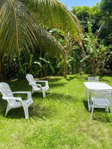 Maison charmante à Baie-Mahault avec jardin clôturé - Location saisonnière - Baie-Mahault