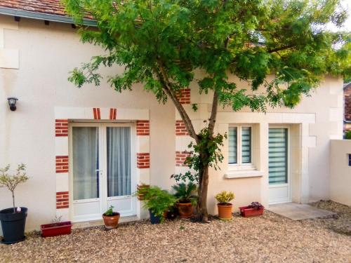 Maison accueillante avec jardin à Selles-sur-Cher gîte à louer Le Bourgeau