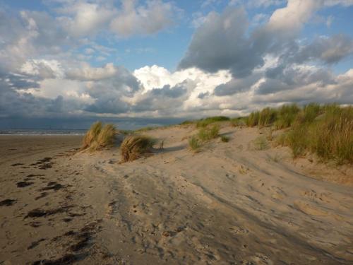 Het Duinhuisje - image 12