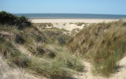 Het Duinhuisje - image 4