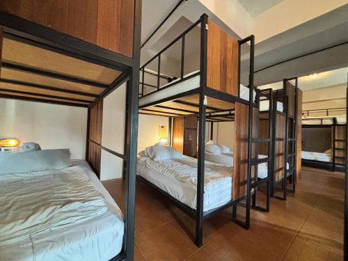 เตียงสองชั้นในห้องพักรวมหญิงชาย (Bunk Bed in Mixed Dormitory Room)