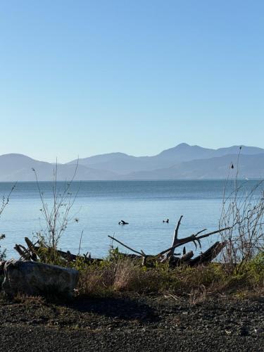 Nearby attraction, Dawson Downs in Upper Moutere