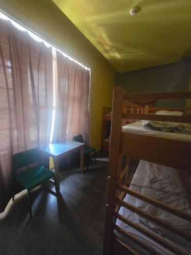 Treestyle Hostel Room Type - Bed in 4-Bed Mixed Dormitory Room