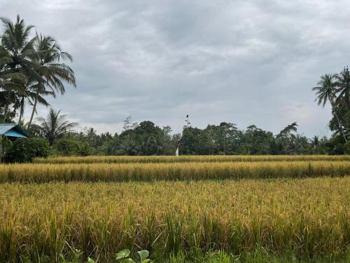 Surrounding environment, Bendul Retreat in Tabanan